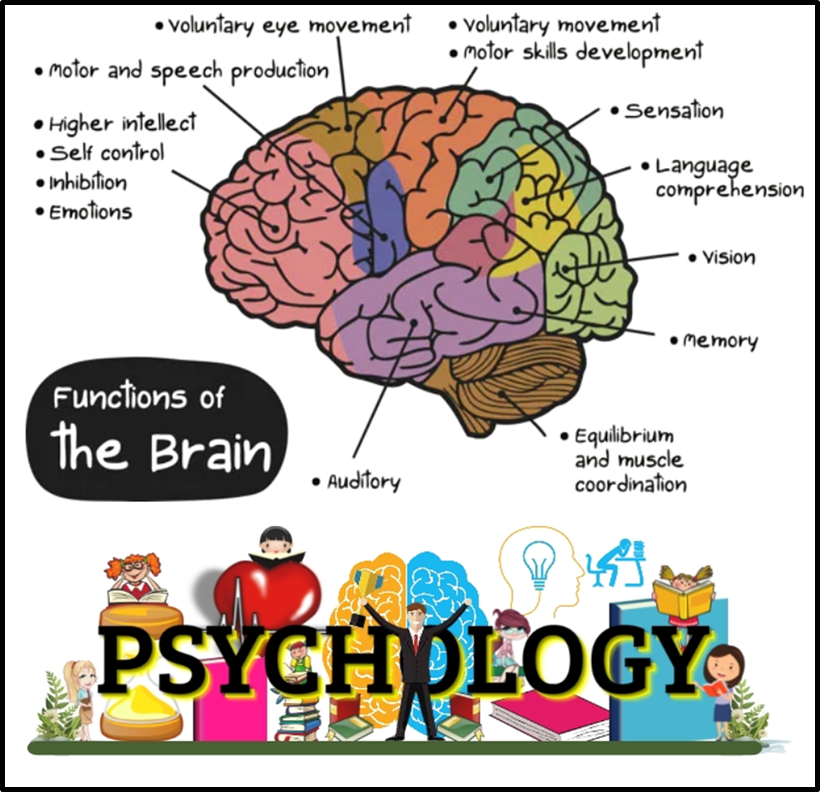 About Psychology Department